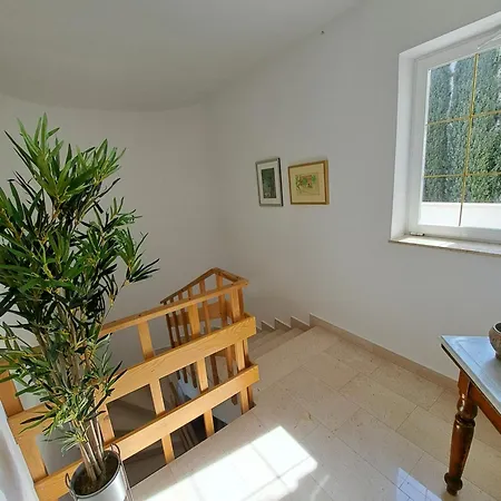 Apartment Elinor 2
