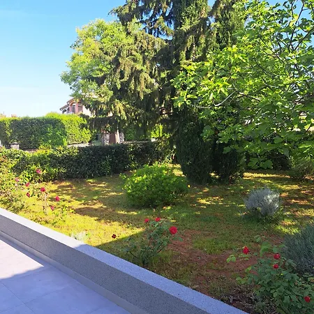 Elinor 2 Apartament
