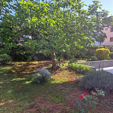 Apartament Elinor 2